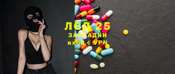 ECSTASY Вяземский