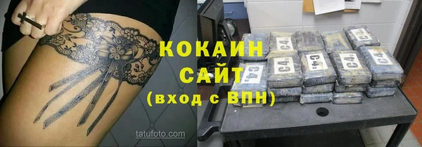 spice Богородицк