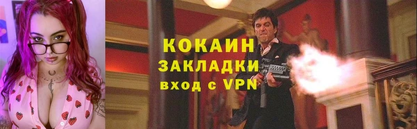 spice Богородицк