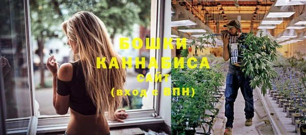 spice Богородицк