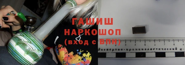 spice Богородицк