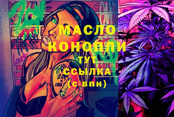 spice Богородицк