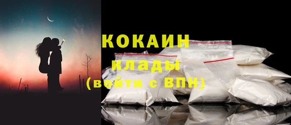 spice Богородицк