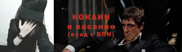 spice Богородицк