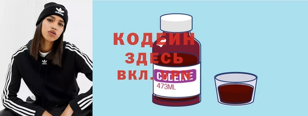 spice Богородицк