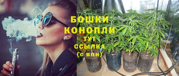 spice Богородицк