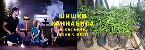 ECSTASY Вяземский