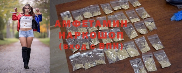 spice Богородицк