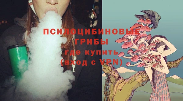 не бодяженный Богданович