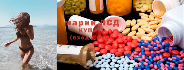 spice Богородицк
