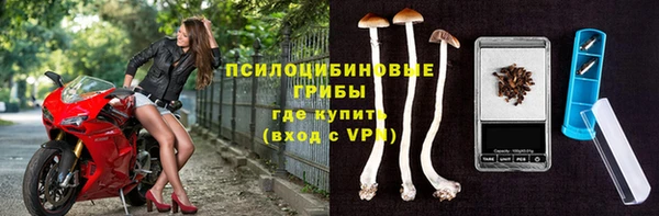 не бодяженный Богданович