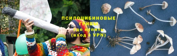 spice Богородицк