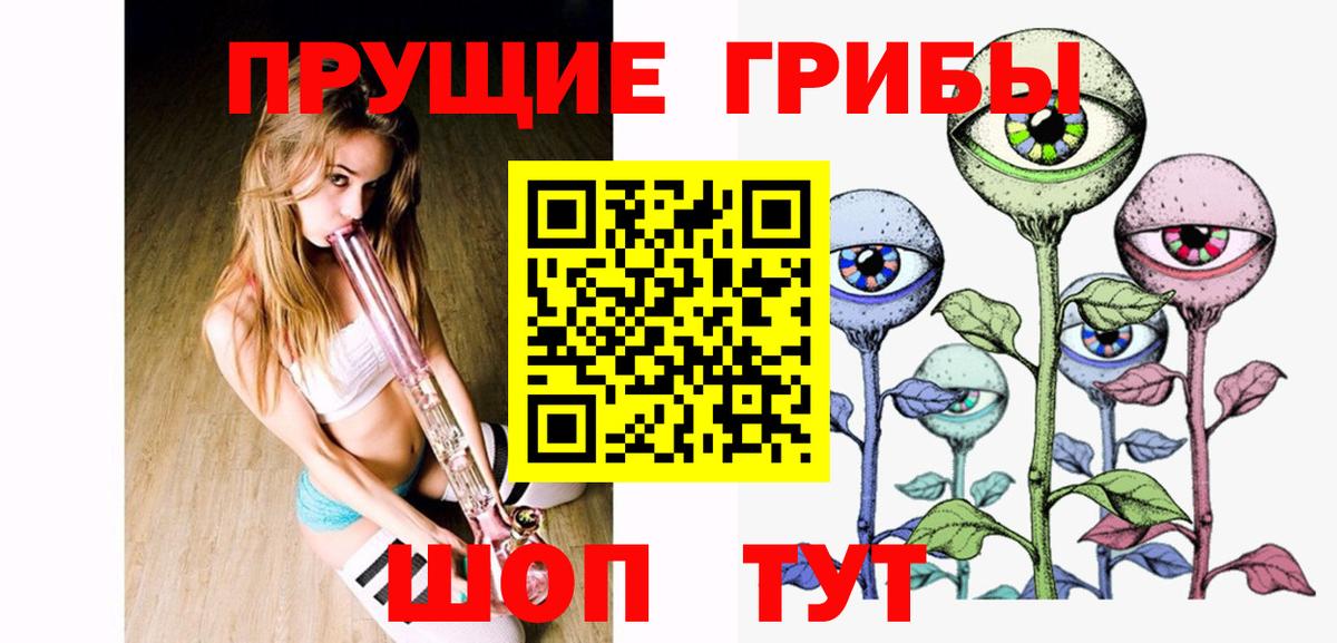 Галлюциногенные грибы GOLDEN TEACHER  Вход с VPN  Дальнегорск 